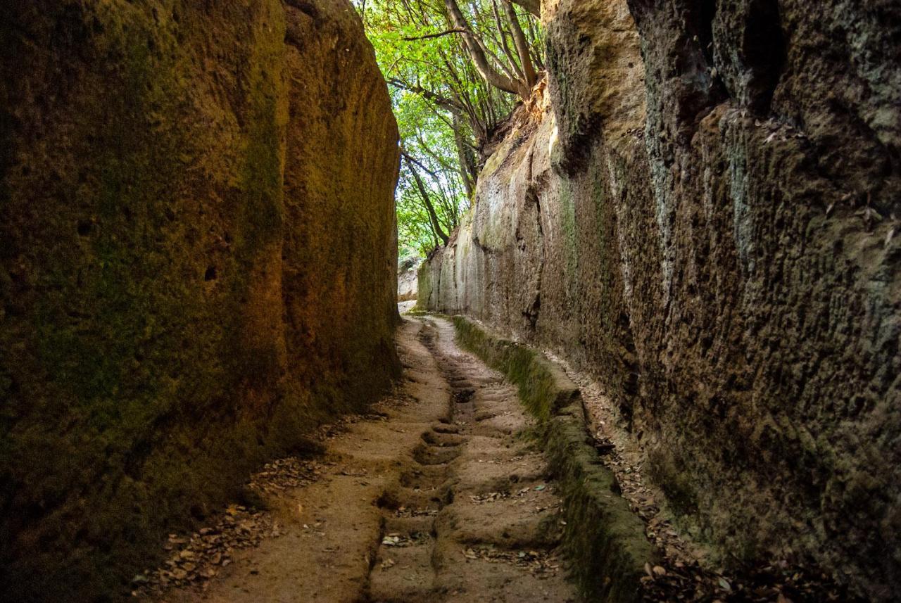 La Toscana In Casa Villa Sorano  ภายนอก รูปภาพ